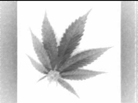 Gheoo-7apte (NEW Official song)