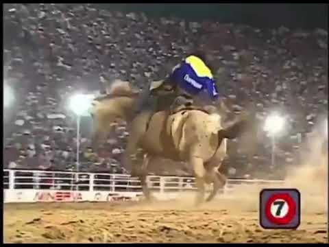 Campeão cutiano rodeio de Barretos na potra Vaidosa de Zezé Rodrigues