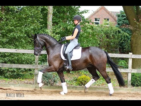 Wallach von Don Romanov