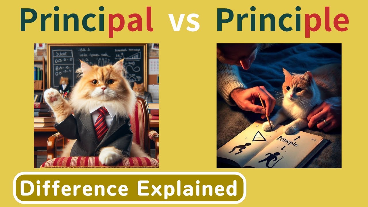Principal vs Principle: What's the Difference?