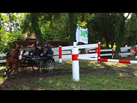 Fahrturnier Ostenfelde 21.8.2022