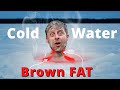 The Benefits Of Cold Water Immersion Brown Fat Weight Loss