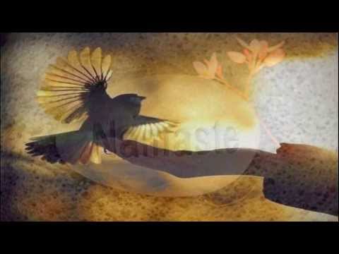 Roberto Sol  ~Loveflows~