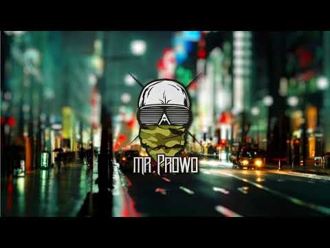 Mr.PROWO - Insomnia (Bonus Track)