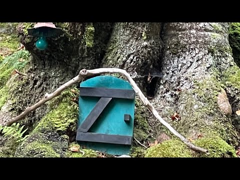 4 Trasee turistice in zona Brezoi, jud. Vl