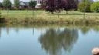 Why is the pond at the Gallatin County dog park closed