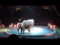 Ringling Bros Barnum Bailey S BARNUM BASH