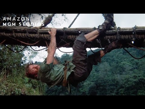 Sneaking Across The Bridge