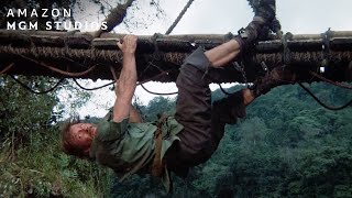 Sneaking Across The Bridge