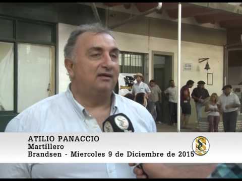 09-12-15 Nota Atilio Panaccio- Jauregui Lorda - Brandsen.