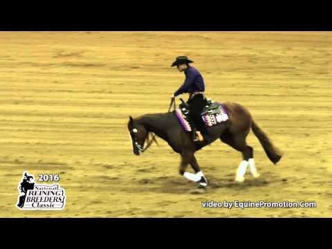 Shiney Little Queen ridden by Pedro Baiao  - 2016 NRBC (Open Prelims)