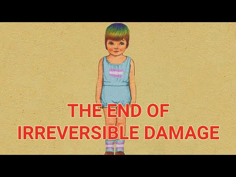 The End of Irreversible Damage: Updates and Stories | Cog psych response to Irreversible Damage
