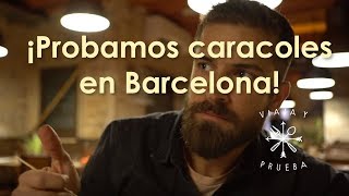 ESTO ES TODO LO QUE PUEDES COMER EN BARCELONA. VIAJA Y PRUEBA CON LUCIANO MAZZETTI