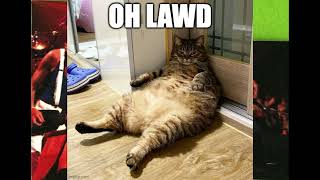 15. Goodbye Marlon Brando (Elton John - Live In New York: 10/21/1988)