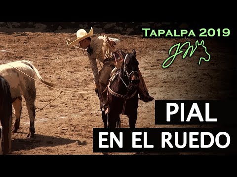 PIAL IN THE RING - 7th Sierra TAPALPA Championship 2019