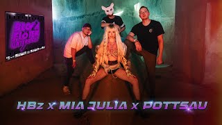 Musik-Video-Miniaturansicht zu Blockflötenunterricht Songtext von HBz & Mia Julia & Pottsau