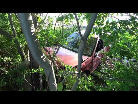 Körözött férfi szenvedett balesetet Tompaládonynál, a 84-es főúton