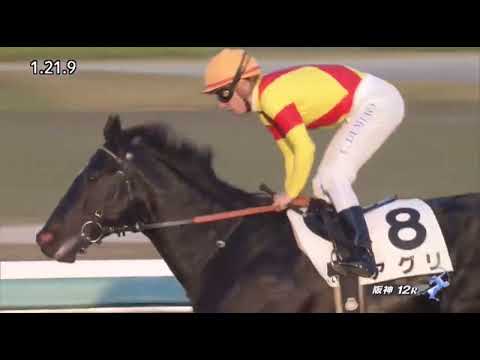Aguri (JPN) wins race 12 at Hanshin 11/12/2022