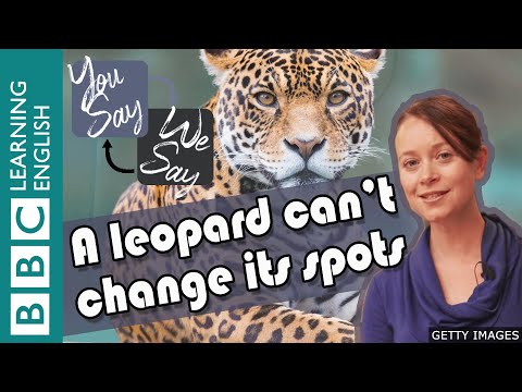 We Say - You Say: A leopard can't change its spots