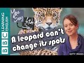 We Say You Say A Leopard Can T Change Its Spots