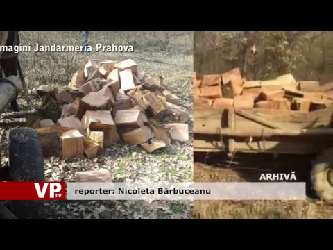 Furt de lemne, descoperit de polițiști