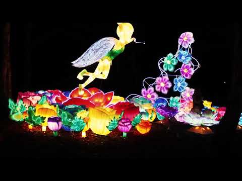 Human Element Productions video.