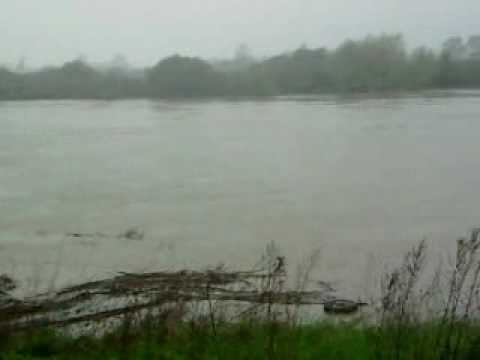 17.05.2010 - Wisła na wysokości Jaśkowic-Pozowic (pow. krakowski)