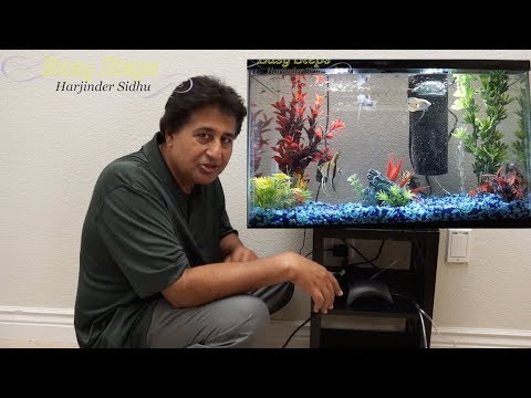 How To Set Up A Small Fish Tank | Sheru & Bruno Got New Friends