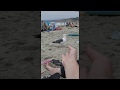 Seagull Eating A Cheeto From My Hand