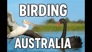 #australia Aves Australianas #wildlife.