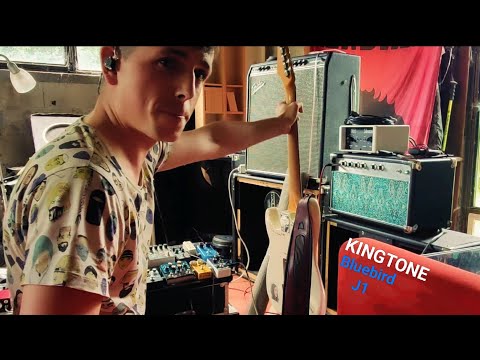 Kingtone Bluebird J1 Pickups