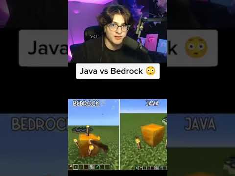 Bedrock VS Java Minecraft Players