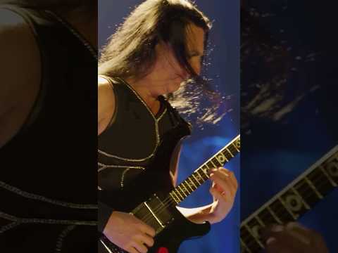 What the **** is a piccolo bass?!