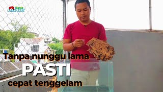 Download lagu HOW TO MAKE AQUASCAPE WOOD SINK QUICKLY mp3