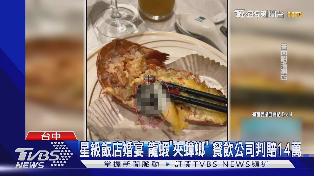 星級飯店婚宴龍蝦「夾蟑螂」 餐飲公司判賠14萬