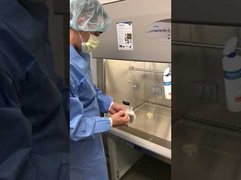 Jose Cruz ASHP Sterile Compounding: Activity 2, demonstrating appropriate glove sterility 4/2018