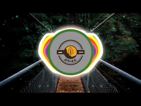 Diviners, IZECOLD, Tim Beeren - This Time (ft. CRVN & Molly Ann) [NoCopyright]