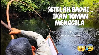 Download lagu AFTER THE STORM CALMED .. I DON'T KNOW WHY THE FISH IN THIS RIVER ARE SUCKING .. !!! .. 😰😱 .. mp3