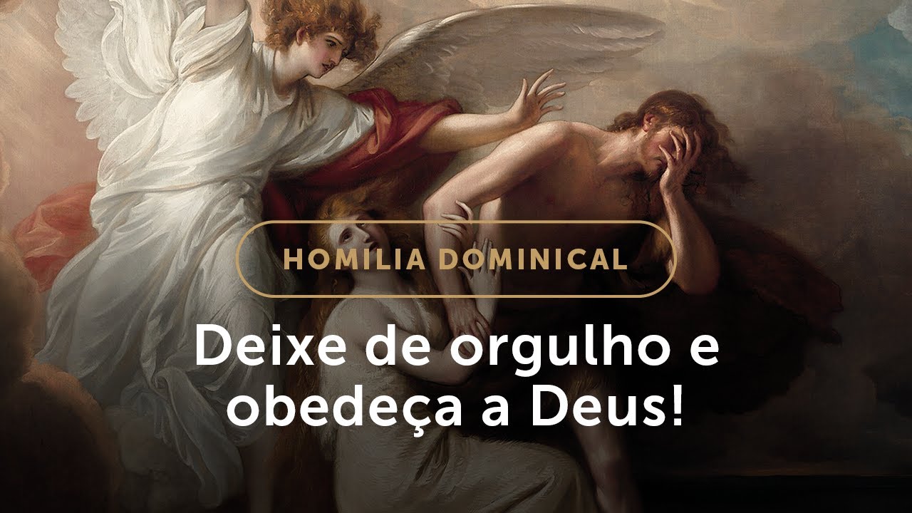 Homilia | Pare de querer ensinar a Deus! (27.º Domingo do Tempo Comum)