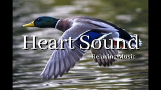 Relaxing music and vibrant nature.