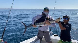 Fishing cabo san lucas in april