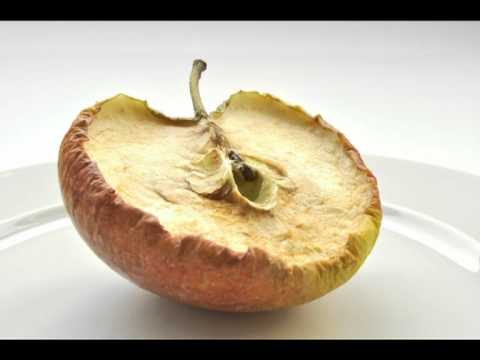Zeugen des Verfalls: Der Apfel