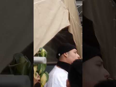 concierto de Soultwo menciona a sheko