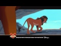 Le Roi Lion Sortie BlueRay