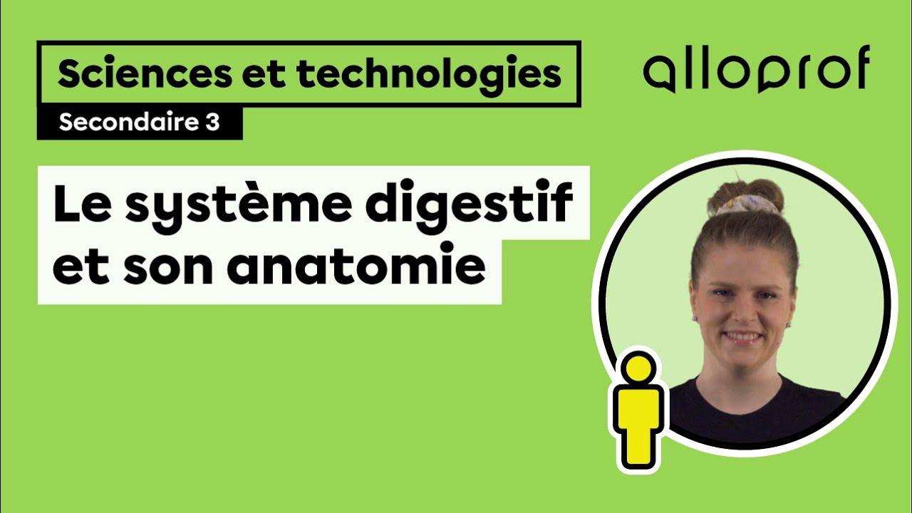 Le système digestif et son anatomie