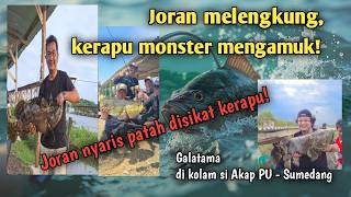 Download lagu Pertarungan sengit para angler pecinta tarikan brutal kerapu mp3