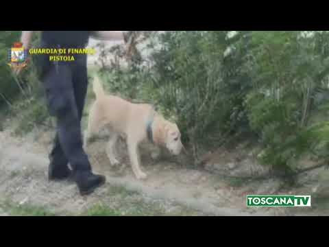 2019-07-18 PISTOIA - DROGA, SPACCIO NEI PARCHI GIOCHI, 4 ARRESTI