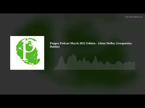 Pangea Podcast March 2022 Edition - Glenn Molloy (Gorgonoize, Dublin)