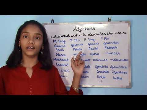 Adjectives in French