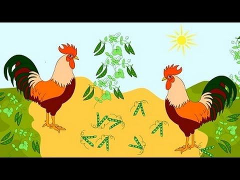 Du Gaideliai - Animuota Lietuviška dainelė vaikučiams. Lithuanian Nursery Rhyme - Two Roosters.